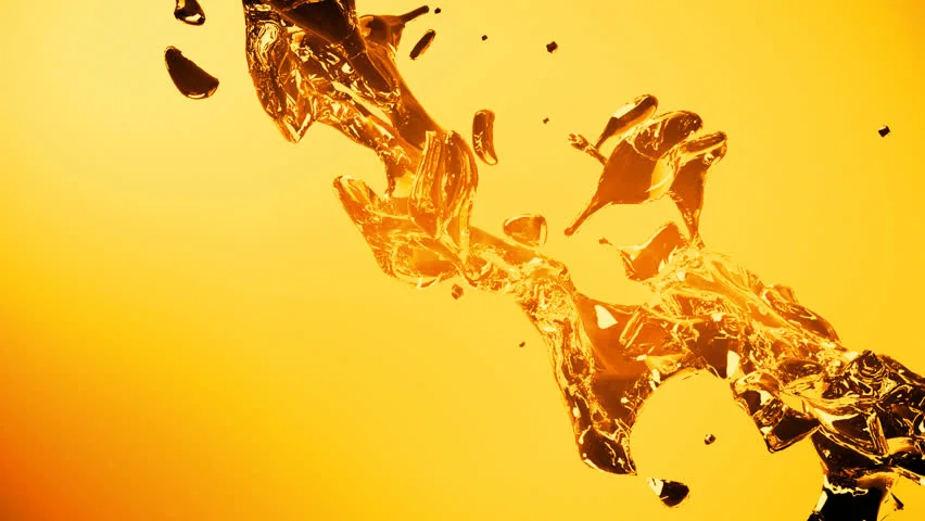 Fuel for future - Digiana Industries