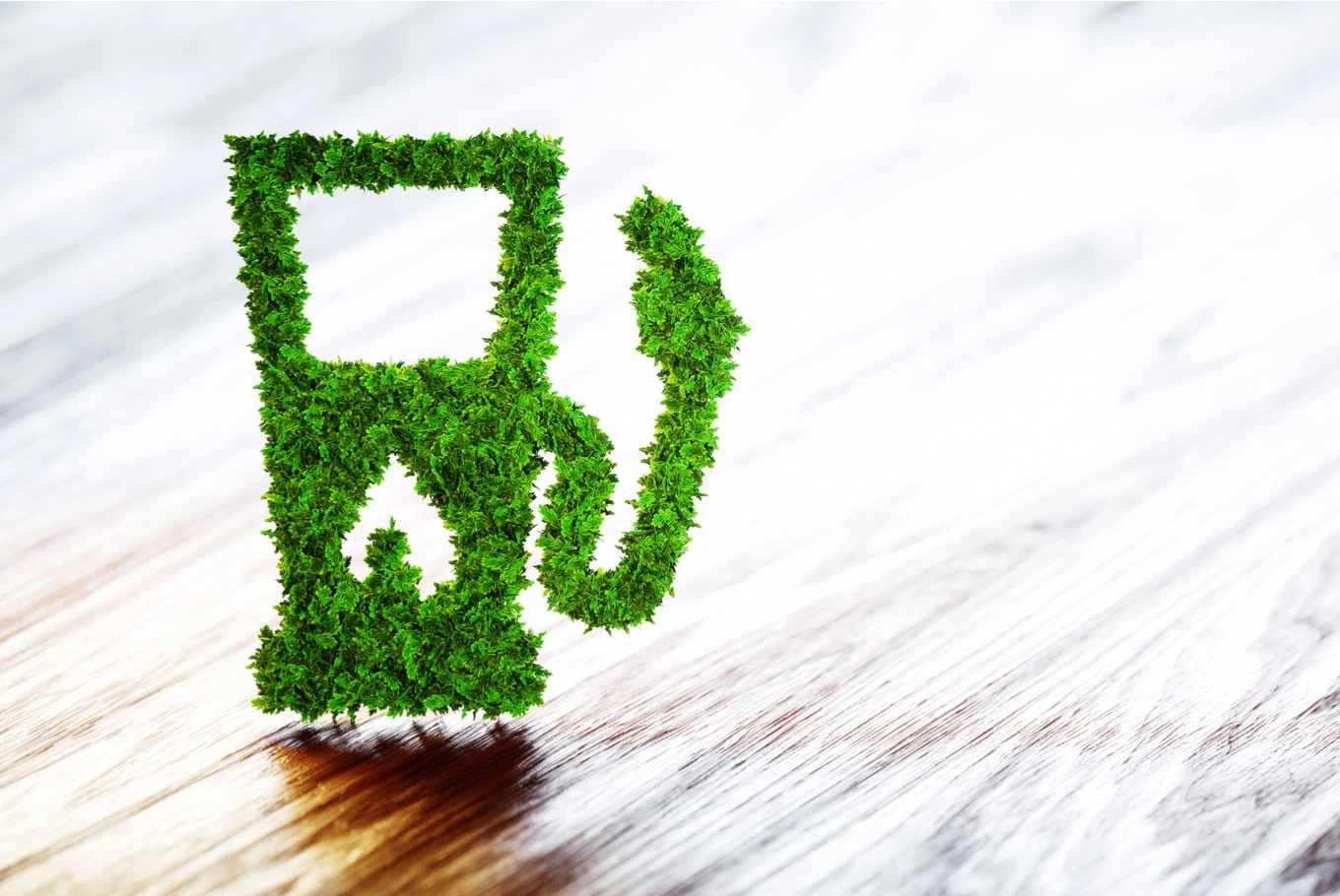 Fuel for future - Digiana Industries