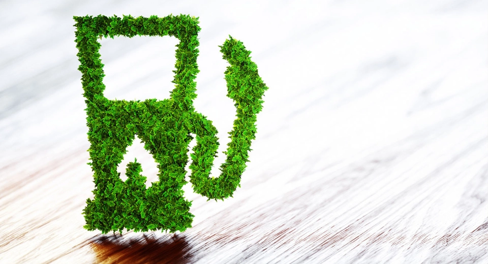 image Digiana industry